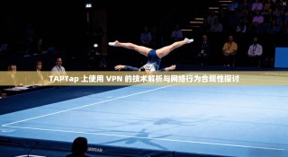 TAPTap 上使用 VPN 的技术解析与网络行为合规性探讨