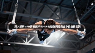 深入解析VPN开发技术与PDF文档在网络安全中的应用实践