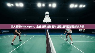 深入解析VPN.cgws，企业级网络加密与远程访问的智能解决方案