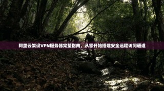 阿里云架设VPN服务器完整指南，从零开始搭建安全远程访问通道
