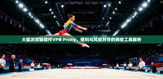 火狐浏览器插件VPN Proxy，便利与风险并存的网络工具解析