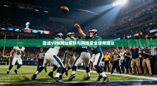 雷速VPN网址解析与网络安全使用建议