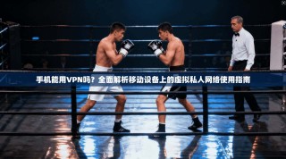 手机能用VPN吗？全面解析移动设备上的虚拟私人网络使用指南