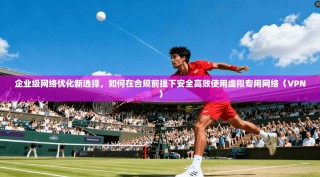 企业级网络优化新选择，如何在合规前提下安全高效使用虚拟专用网络（VPN）