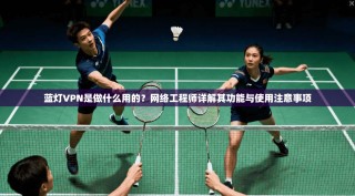 蓝灯VPN是做什么用的？网络工程师详解其功能与使用注意事项