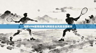 海鸥VPN使用指南与网络安全风险深度解析