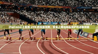 iPad mini 上配置 VPN 的完整指南，安全上网与隐私保护的必备技能
