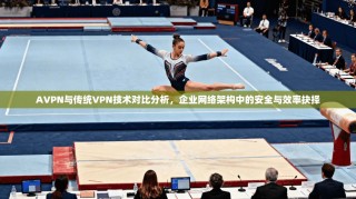 AVPN与传统VPN技术对比分析，企业网络架构中的安全与效率抉择