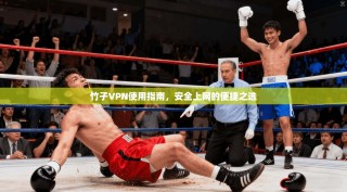 竹子VPN使用指南，安全上网的便捷之选