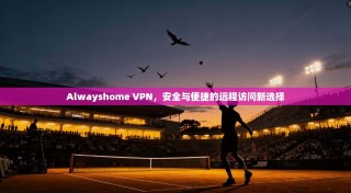 Alwayshome VPN，安全与便捷的远程访问新选择