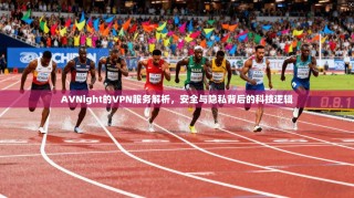 AVNight的VPN服务解析，安全与隐私背后的科技逻辑