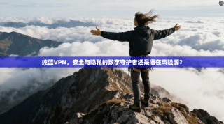 纯蓝VPN，安全与隐私的数字守护者还是潜在风险源？