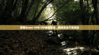 警惕Green VPN VIP破解陷阱，网络安全不容妥协
