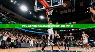 VPN后DNS解析异常问题深度解析与解决方案