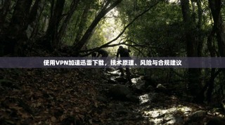 使用VPN加速迅雷下载，技术原理、风险与合规建议