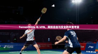 TorrentKitty 与 VPN，网络自由与安全的双重考量