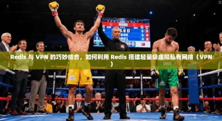Redis 与 VPN 的巧妙结合，如何利用 Redis 搭建轻量级虚拟私有网络（VPN）