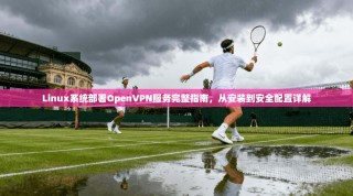 Linux系统部署OpenVPN服务完整指南，从安装到安全配置详解