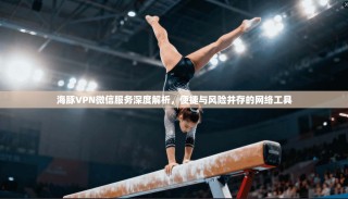 海豚VPN微信服务深度解析，便捷与风险并存的网络工具