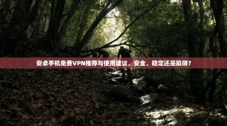 安卓手机免费VPN推荐与使用建议，安全、稳定还是陷阱？