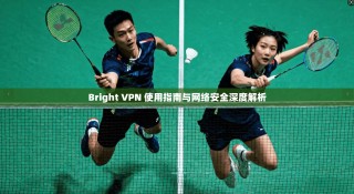 Bright VPN 使用指南与网络安全深度解析