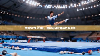 免费VPN iOS版，便利与风险并存的双刃剑