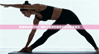 琉璃神社挂VPN？网络工程师的理性分析与安全警示