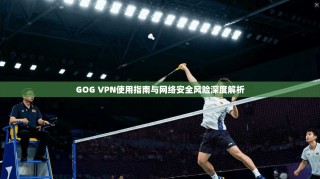 GOG VPN使用指南与网络安全风险深度解析