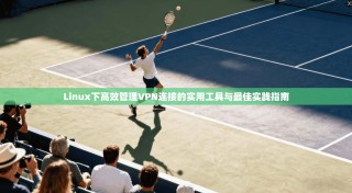 Linux下高效管理VPN连接的实用工具与最佳实践指南
