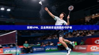 安网VPN，企业网络安全的隐形守护者