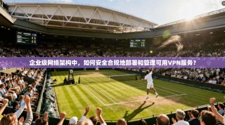 企业级网络架构中，如何安全合规地部署和管理可用VPN服务？