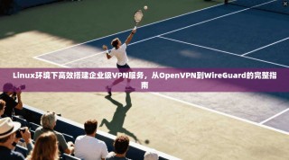 Linux环境下高效搭建企业级VPN服务，从OpenVPN到WireGuard的完整指南