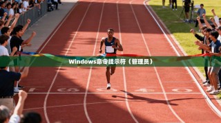 Windows命令提示符（管理员）
