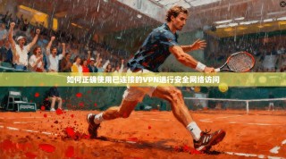如何正确使用已连接的VPN进行安全网络访问