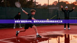 谷歌扩展程序VPN，便利与风险并存的网络访问工具