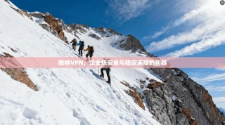 微林VPN，企业级安全与稳定连接的利器