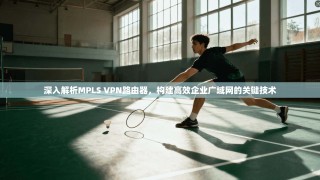 深入解析MPLS VPN路由器，构建高效企业广域网的关键技术