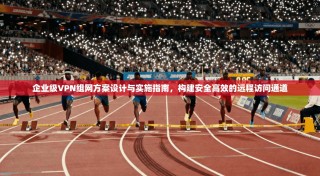 企业级VPN组网方案设计与实施指南，构建安全高效的远程访问通道