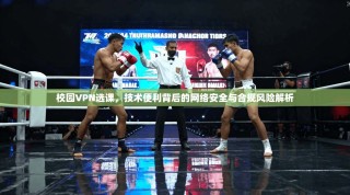 校园VPN选课，技术便利背后的网络安全与合规风险解析