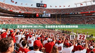深入解析VPN 365 Pro，企业级安全与高效连接的利器