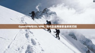 OpenVPN与SSL VPN，现代企业网络安全的双刃剑