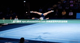 深入解析 vpn.ehousechina.com 的网络架构与安全机制