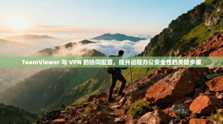 TeamViewer 与 VPN 的协同配置，提升远程办公安全性的关键步骤