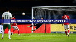 地精公司为何选择使用VPN？网络安全与远程办公的双重考量