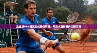 企业级VPN配置实战案例解析，从需求到部署的完整流程