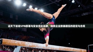 证天下咨询VPN部署与安全优化实践，保障企业数据通信的稳定与合规