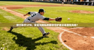 骑士助手VPN，安全与隐私的数字守护者还是潜在风险？