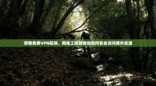 警惕免费VPN陷阱，网络工程师教你如何安全访问境外资源