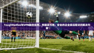 ToughRadius与VPN融合应用，构建高可用、安全的企业级远程访问解决方案
