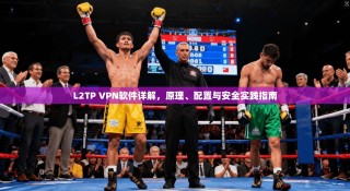 L2TP VPN软件详解，原理、配置与安全实践指南